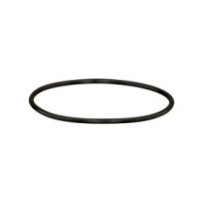 CLAAS 6000133029 PIERSCIEŃ do ciągnika