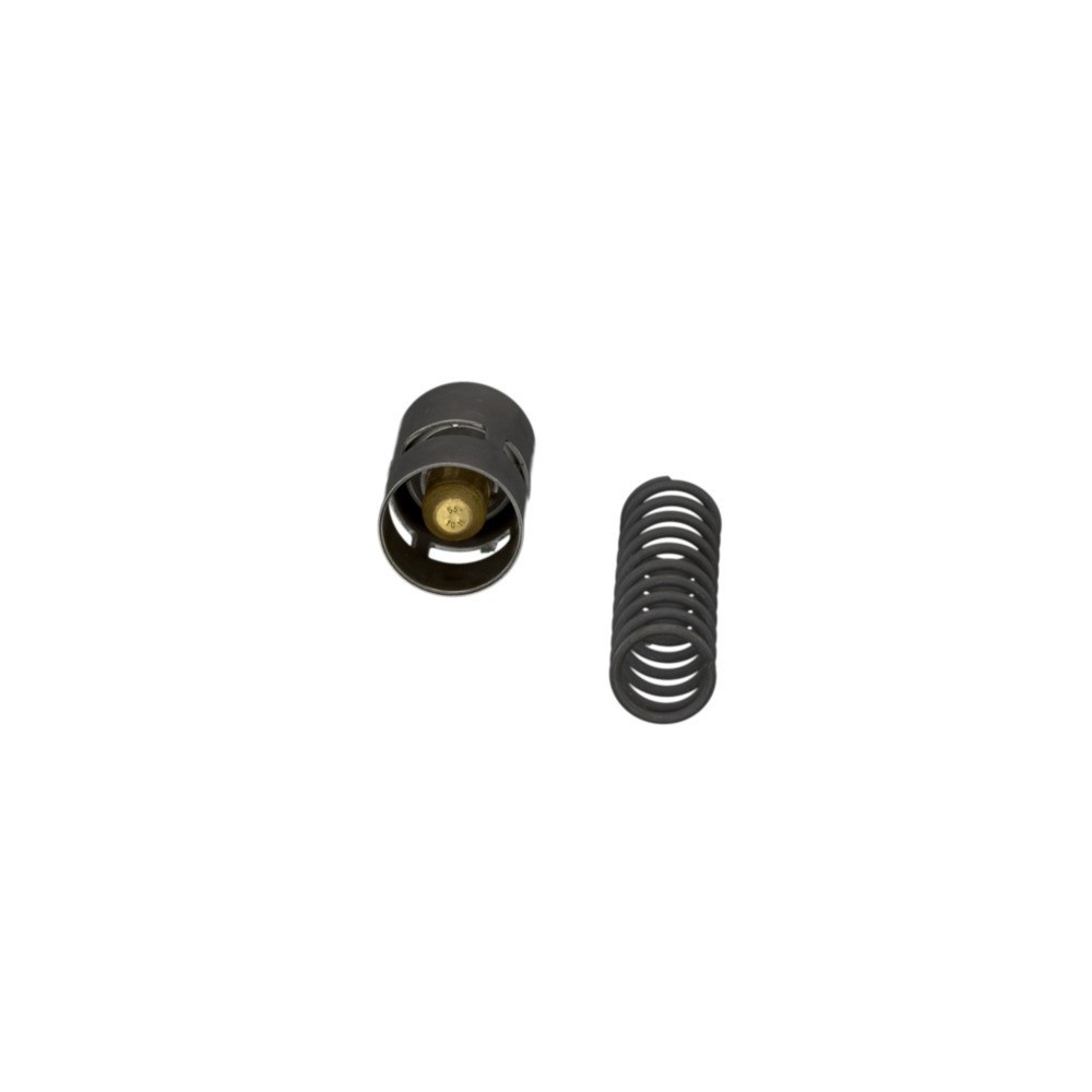 CLAAS 0019539620 TERMOSTAT