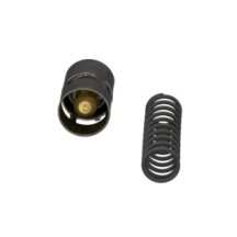 CLAAS 0019539620 TERMOSTAT