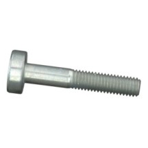 CLAAS 0019525810 ŚRUBA TORX