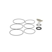 CLAAS 0001746570 KOMPLET PIERŚCIENI USZCZELNIAJĄCYCH