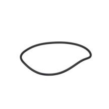 CLAAS 0002112520 PIERSCIEŃ