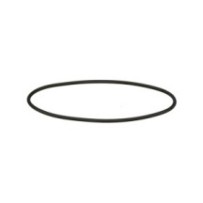 CLAAS 0002114420 PIERSCIEŃ