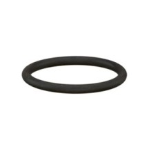 CLAAS 0002118820 PIERSCIEŃ