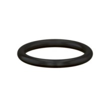 CLAAS 0002119080 PIERSCIEŃ