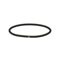 CLAAS 0002119280 PIERSCIEŃ