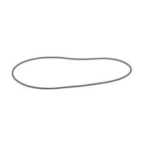 CLAAS 0002119300 PIERSCIEŃ