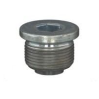 CLAAS 0002124321 ŚRUBA ZAMYKAJĄCA