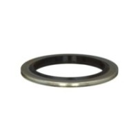 CLAAS 0002124330 PIERŚCIEŃ USIT