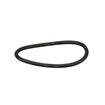 CLAAS 0002124470 PIERSCIEŃ