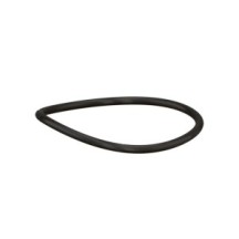 CLAAS 0002124470 PIERSCIEŃ