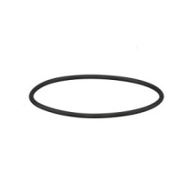 CLAAS 0002124760 PIERSCIEŃ