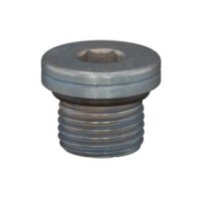 CLAAS 0002131001 ŚRUBA ZAMYKAJĄCA