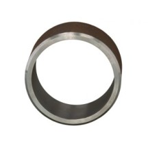 CLAAS 0000764160 PIERŚCIEŃ