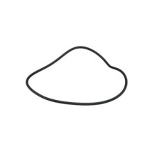 CLAAS 0000784540 PIERSCIEŃ