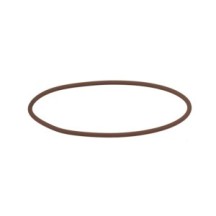 CLAAS 0001316300 PIERSCIEŃ