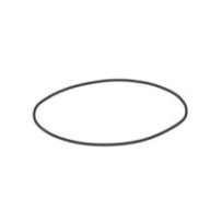 CLAAS 0002156512 PIERSCIEŃ