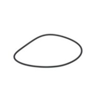 CLAAS 0002159410 PIERSCIEŃ