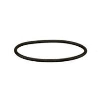 CLAAS 0002167590 PIERSCIEŃ