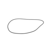 CLAAS 0002167600 PIERSCIEŃ