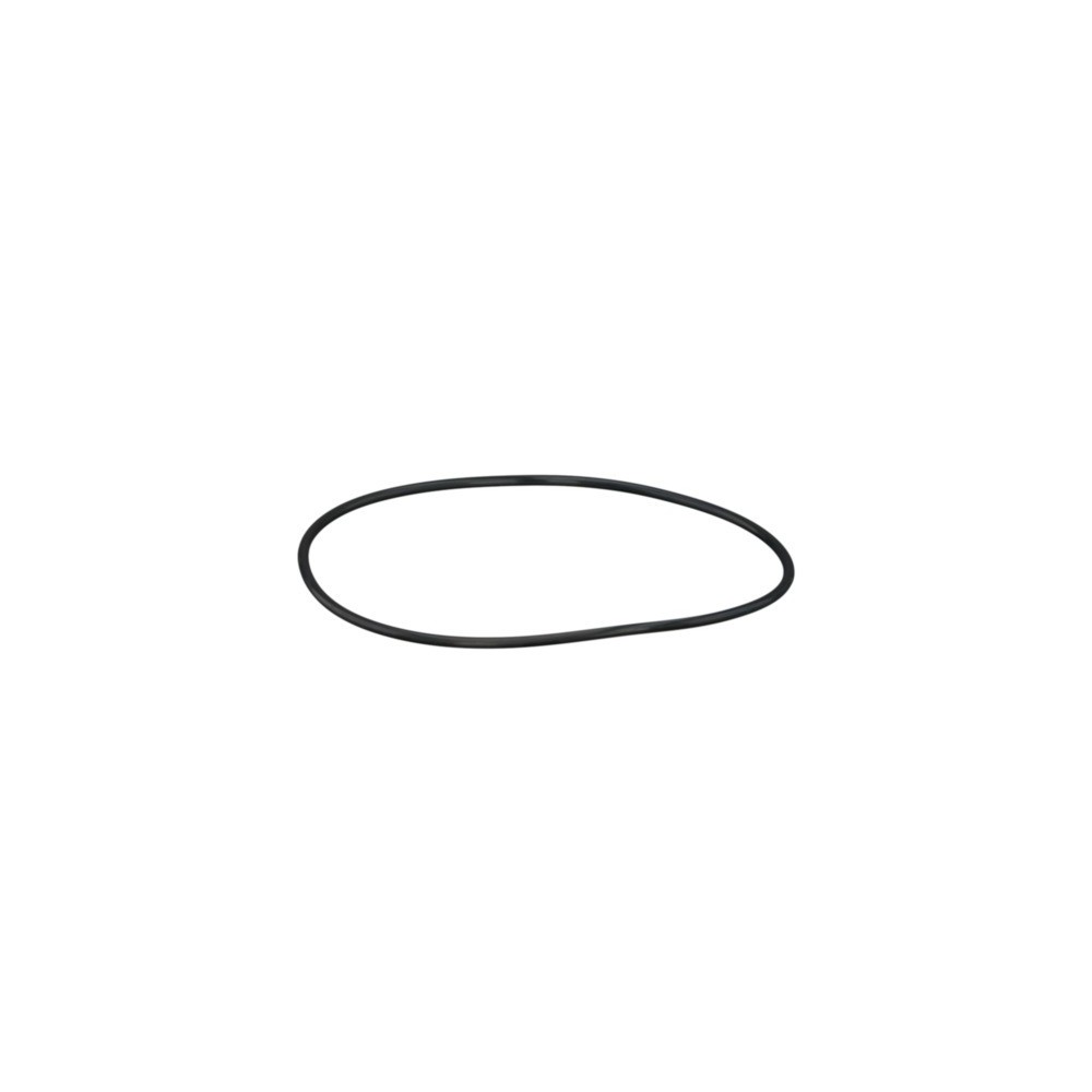 CLAAS 0002176800 PIERSCIEŃ