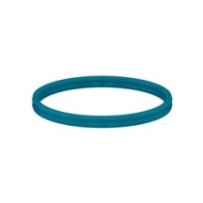 CLAAS 0002180920 PIERŚCIEŃ