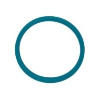 CLAAS 0002181730 PIERŚCIEŃ