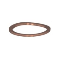 CLAAS 0002186050 PIERŚCIEŃ