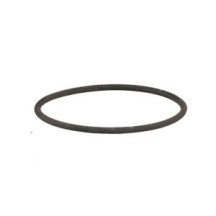 CLAAS 0002187021 PIERSCIEŃ