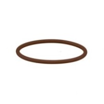 CLAAS 0002188590 PIERSCIEŃ