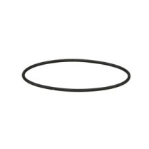 CLAAS 0002189120 PIERSCIEŃ