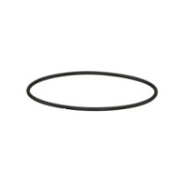 CLAAS 0002189120 PIERSCIEŃ