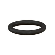 CLAAS 0002189550 PIERSCIEŃ