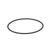 CLAAS 0002199070 PIERSCIEŃ