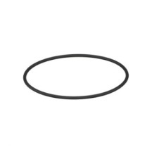 CLAAS 0002199070 PIERSCIEŃ