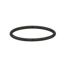 CLAAS 0002232600 PIERSCIEŃ