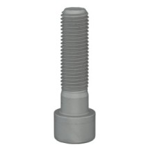 CLAAS 0002234820 ŚRUBA CYLINDRA W 6KT