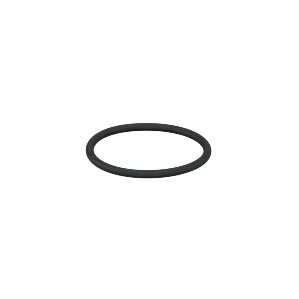 CLAAS 0002242180 PIERSCIEŃ