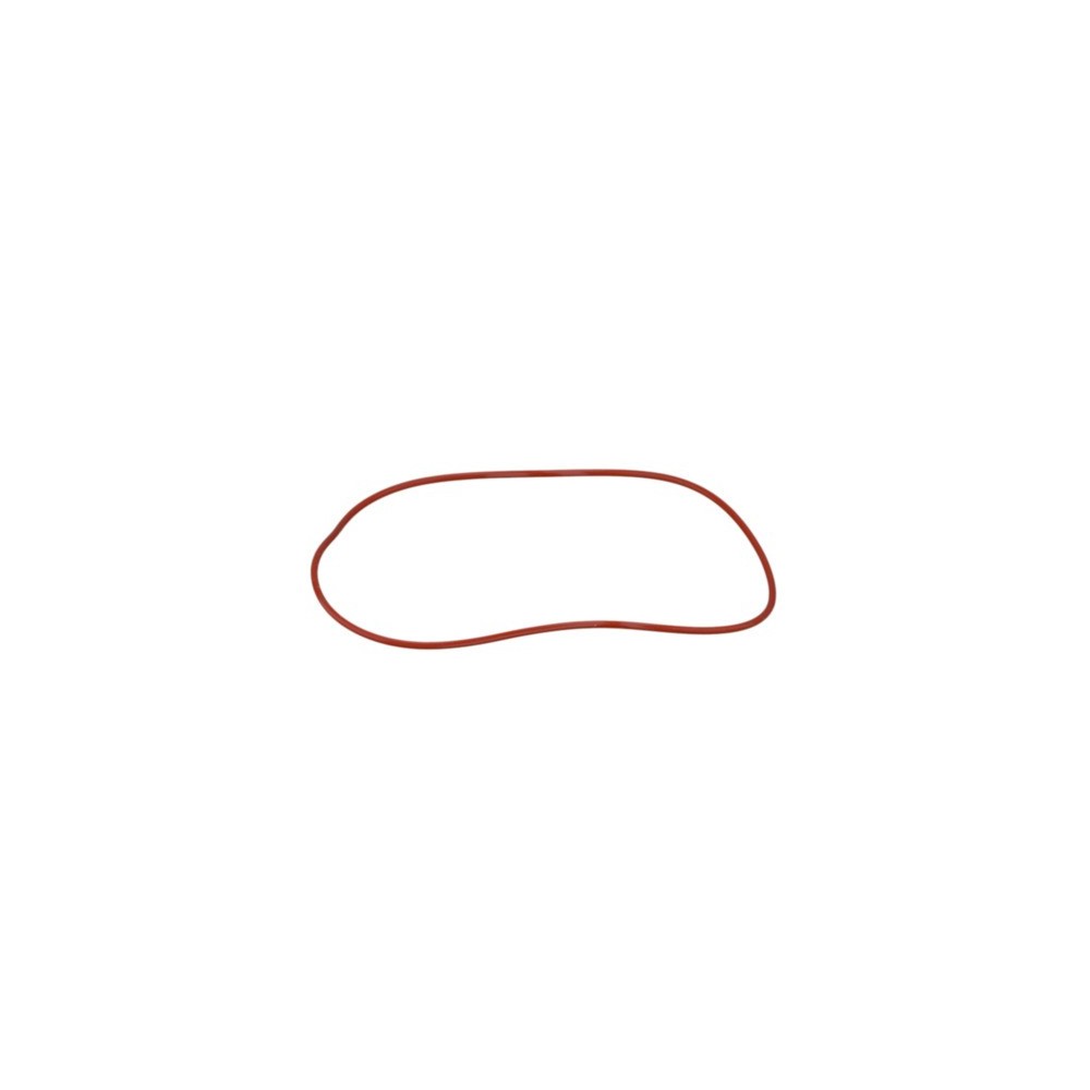 CLAAS 0002242390 PIERSCIEŃ