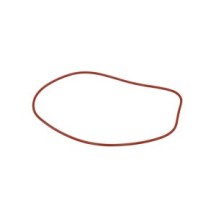 CLAAS 0002242390 PIERSCIEŃ