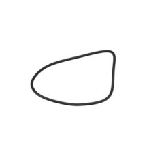 CLAAS 0008584450 PIERSCIEŃ