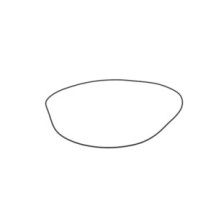 CLAAS 0007648390 PIERSCIEŃ